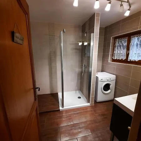 La Grue Cendree - Les Du Der - בית נופש Puellemontier