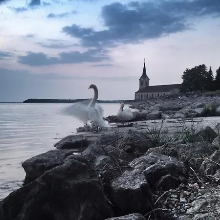 La Grue Cendree - Les Du Der - * Puellemontier